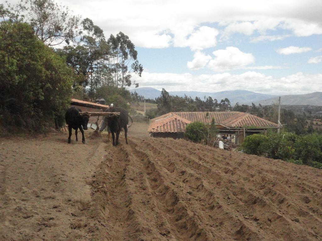 Loma Wasi Alojamiento Rural Indigena En Cotacachi Exterior photo