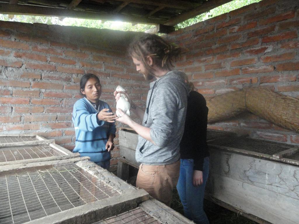 Loma Wasi Alojamiento Rural Indigena En Cotacachi Exterior photo