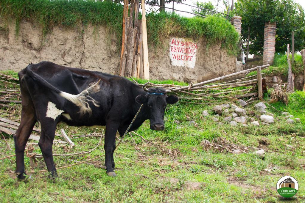 Loma Wasi Alojamiento Rural Indigena En Cotacachi Exterior photo